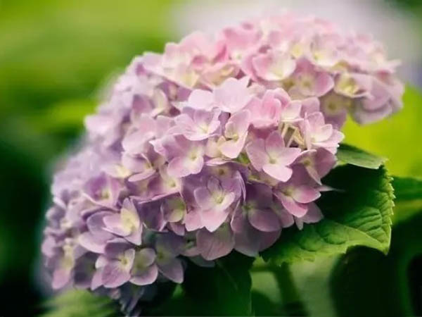 重慶經(jīng)貿(mào)中等專業(yè)學(xué)校教師職業(yè)能力發(fā)展評(píng)價(jià)與分析系統(tǒng)開發(fā)招標(biāo)公告