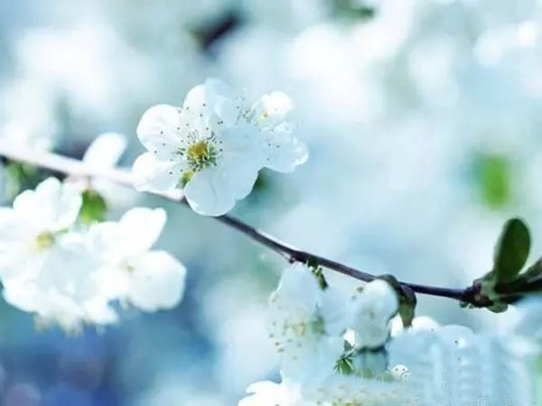 學(xué)校油煙抽排系統(tǒng)清洗項(xiàng)目招標(biāo)公告