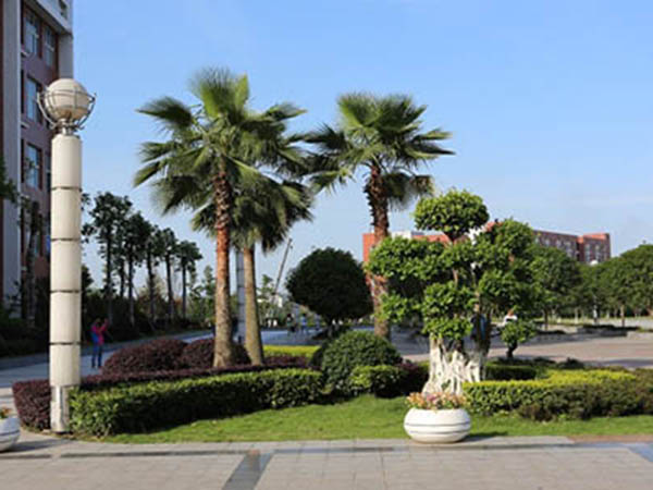 重慶市經(jīng)貿(mào)中等專業(yè)學(xué)校教師績效考核暫行辦法